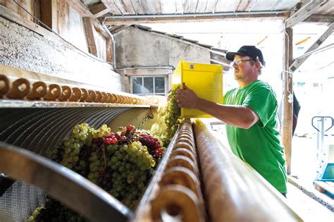 weingut riehen|Über Uns